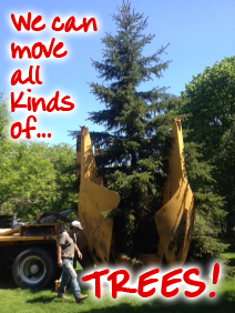Picture of our large tree spade with a caption that reads - "We can move all kinds of TREES!" 
